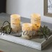 Better Homes and Gardens LED Candle 3-Pack, Autumn Leaves   555600334